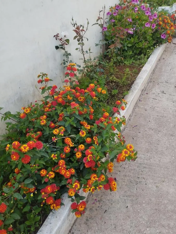 Apartment Ksamil Holiday Albania